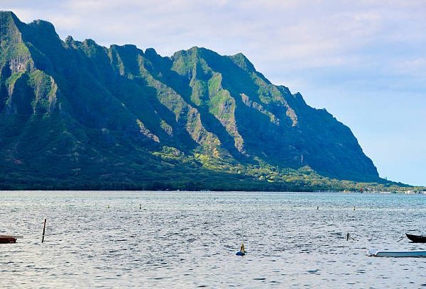 Ultimate Visitor Guide to the Kaneohe Bay Sandbar