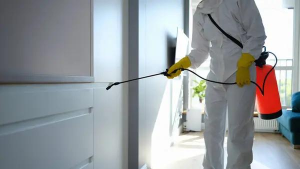 Henrico Mold Remediation Service for Homes, Offices, and Businesses