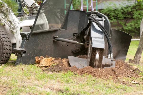 Local Experts for Tree Removal Service Mobile Projects