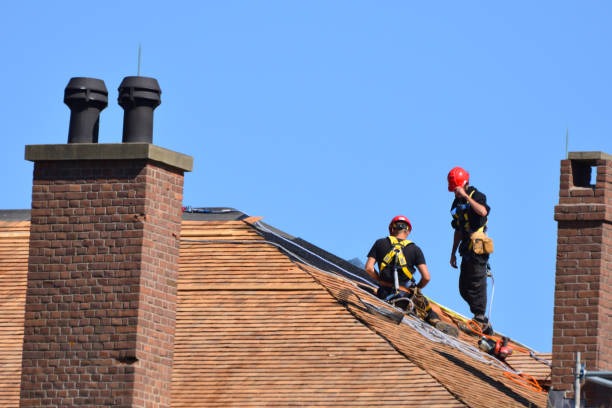 Experience Roofing Bellevue with Trusted Local Roofing Specialists