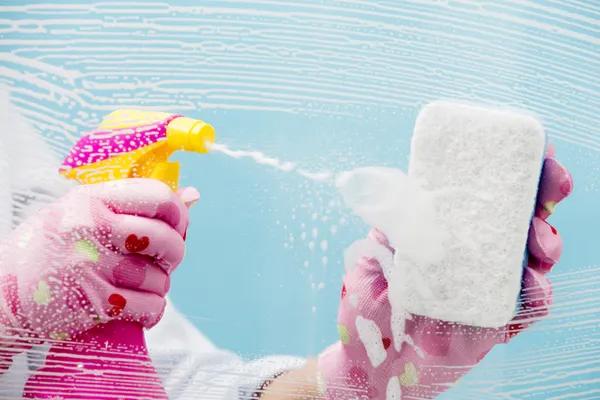 Fresh Clean Windows with Glide Window Cleaning