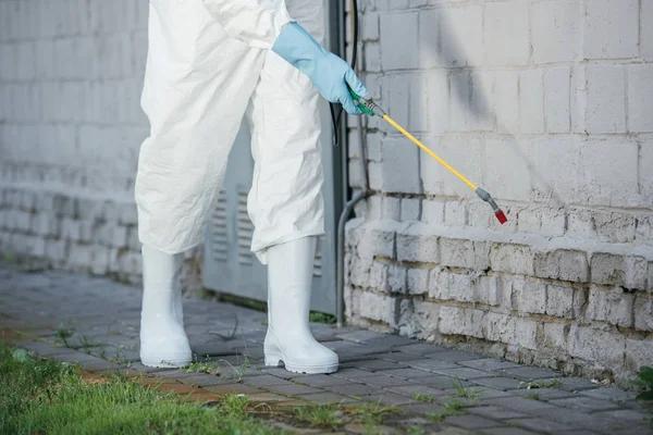 Pest Control Lansing for Safe and Reliable Pest Control