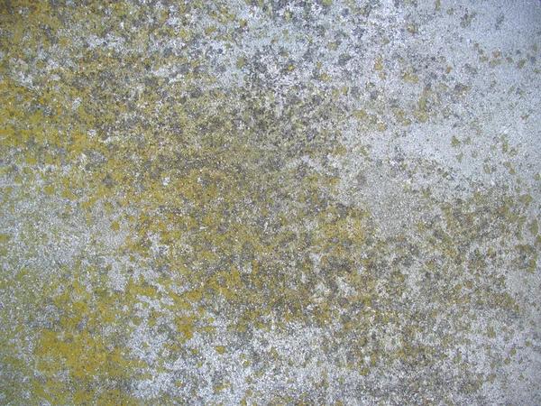 Top Rated Garage Floor Coatings Albuquerque for Modern Homes