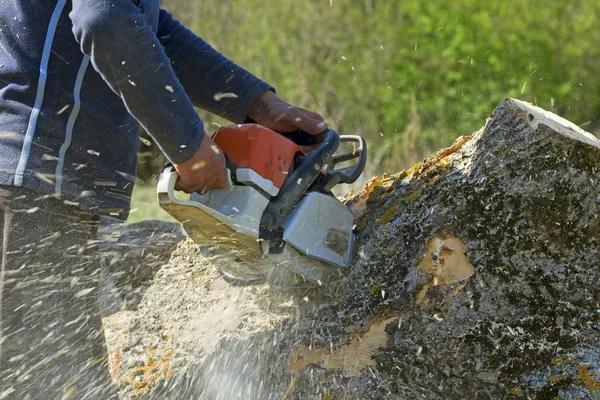 Fast Tree Removal Near Me Services